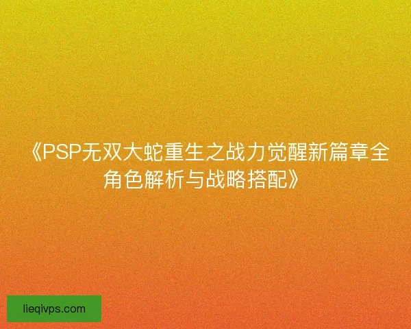 《PSP无双大蛇重生之战力觉醒新篇章全角色解析与战略搭配》